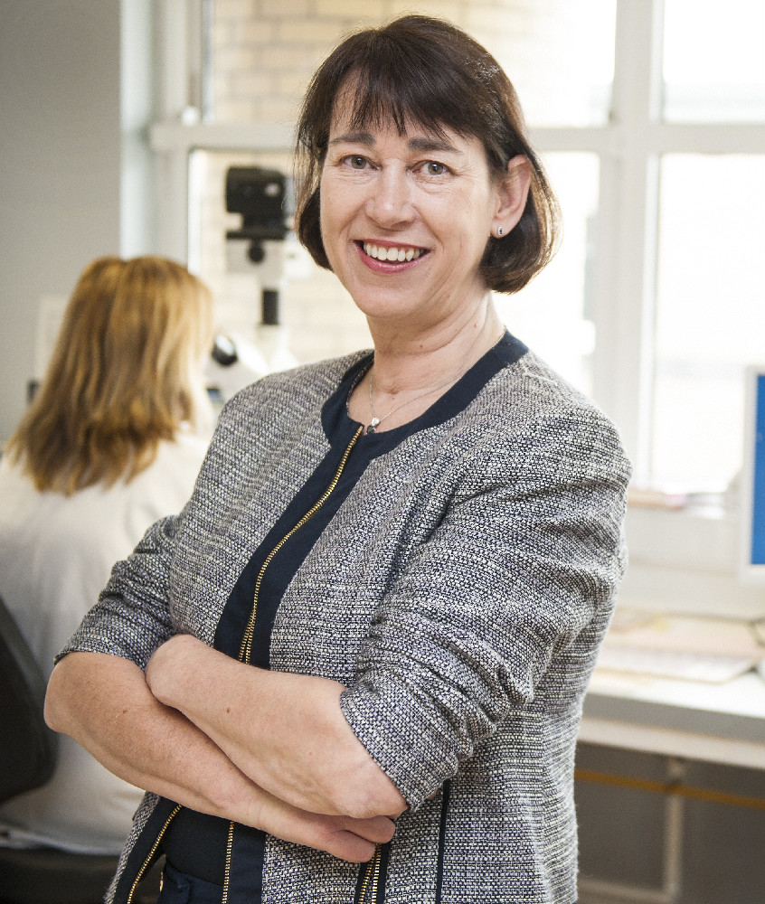 Professor Helen Enright